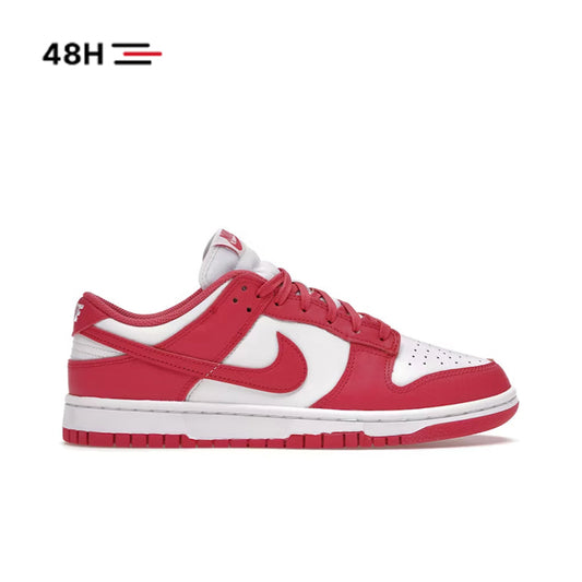 Nike Dunk Low Archeo Pink (W)