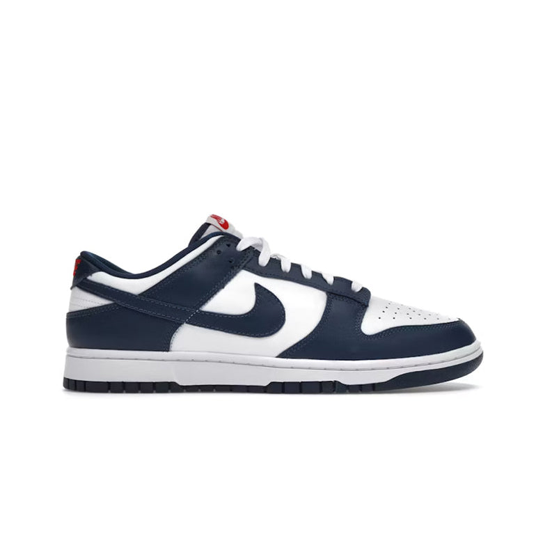 Nike Dunk Low Valerian Blue