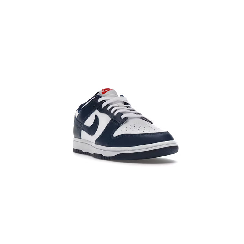 Nike Dunk Low Valerian Blue